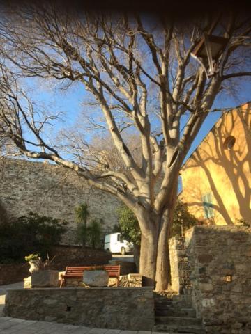 Logement Neuf Centre Du Village Aux Pieds Du Chateau Grimaud Esterno foto